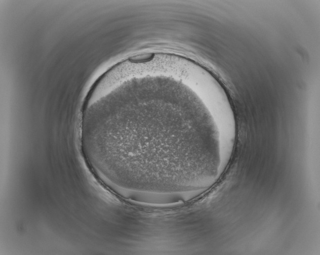 X0000110981522200907171721