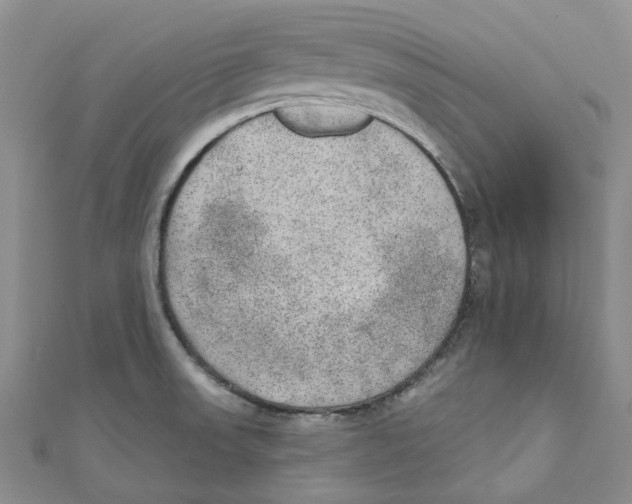 X0000110981523200907171721