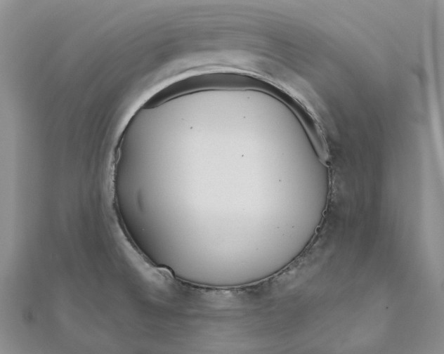 X0000110981524200907171721