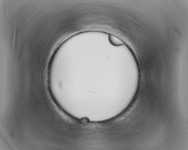 X0000110981525200907171721