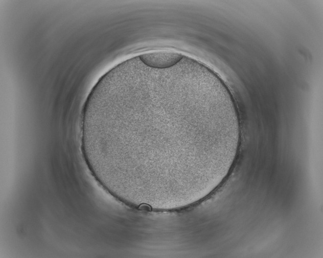 X0000110981526200907171721