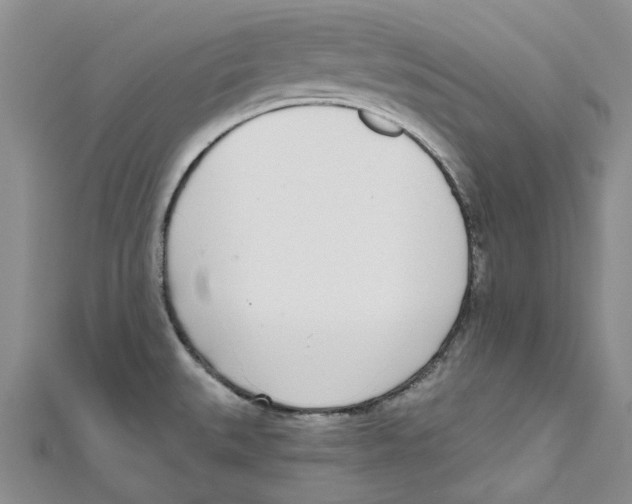 X0000110981527200907171721