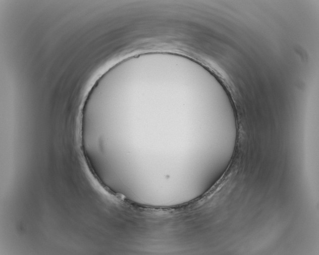 X0000110981528200907171721