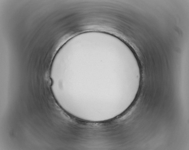 X0000110981529200907171721