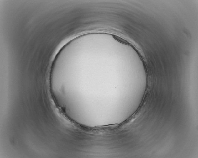 X0000110981530200907171721