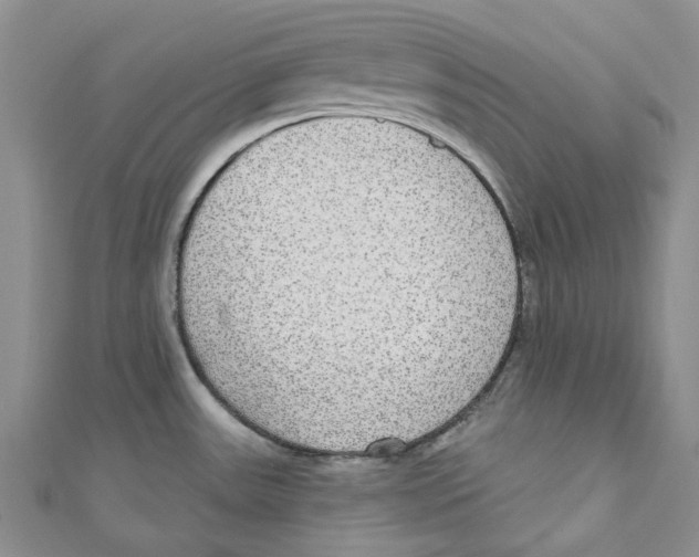 X0000110981531200907171721