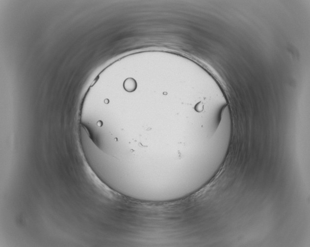 X0000110981532200907171721