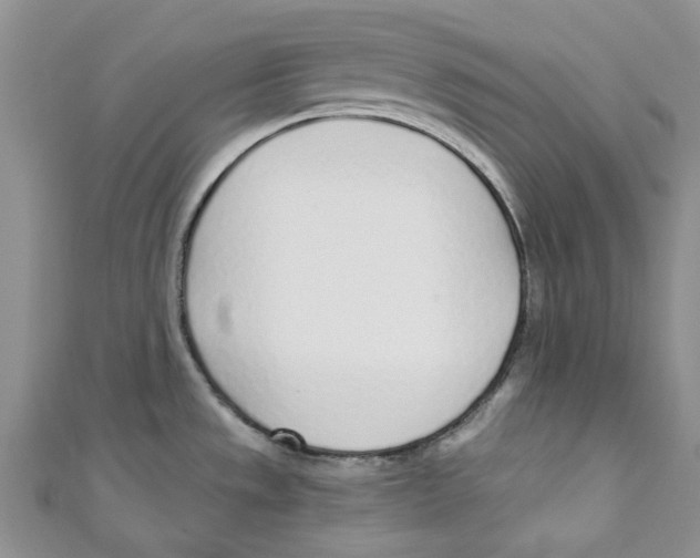 X0000110981533200907171721