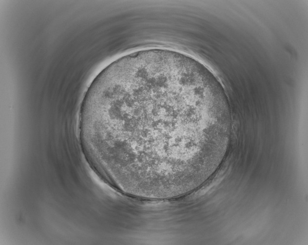 X0000110981535200907171721