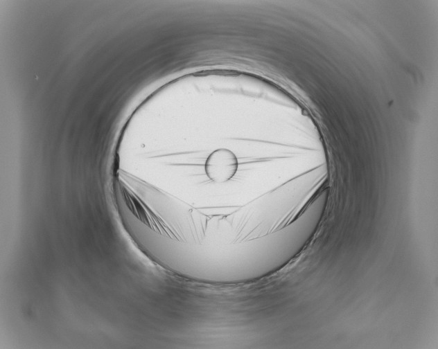 X0000110981536200907171721