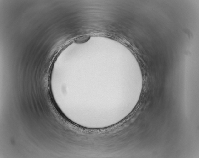 X0000110980002200907310959