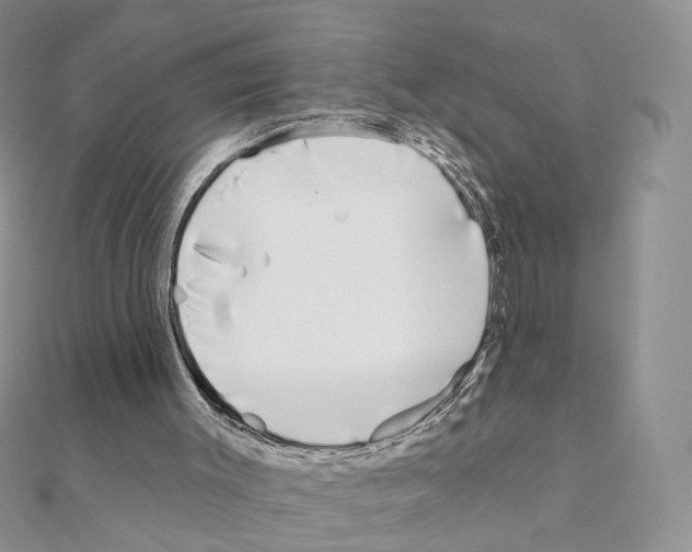 X0000110980003200907310959
