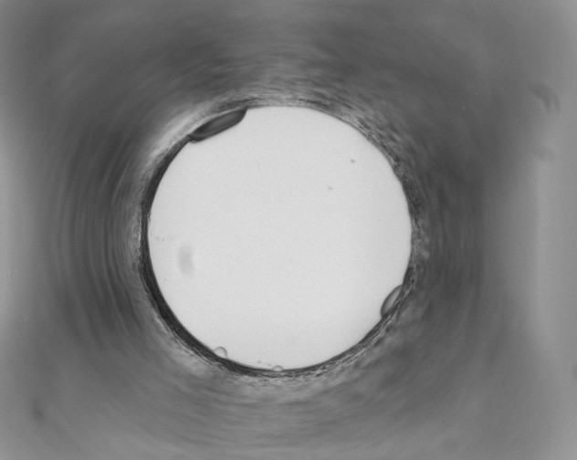 X0000110980005200907310959
