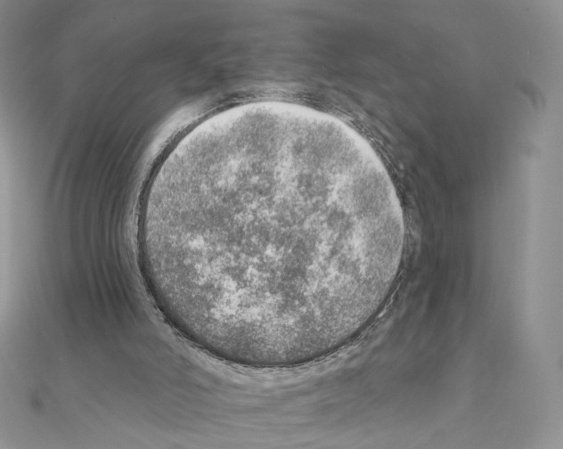 X0000110980006200907310959