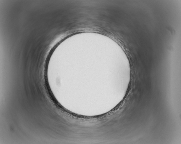 X0000110980008200907310959