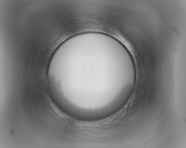 X0000110980009200907310959