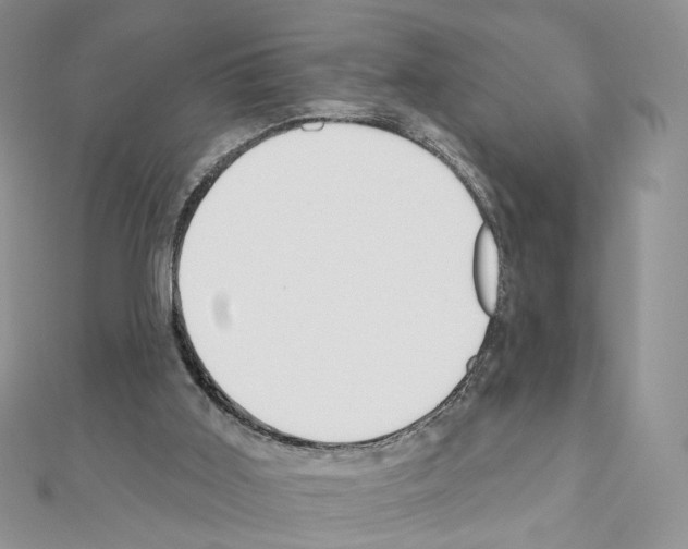 X0000110980011200907310959