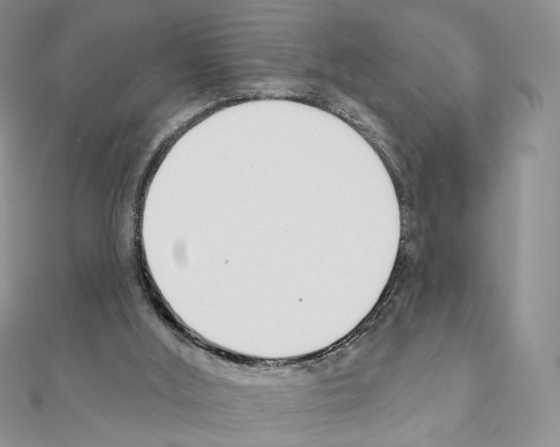 X0000110980012200907310959