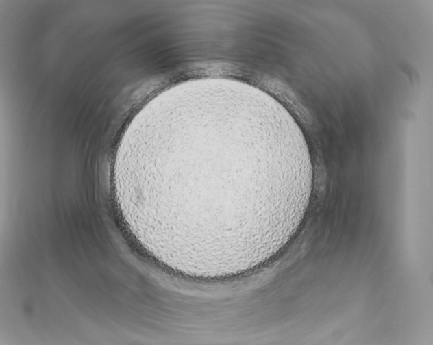 X0000110980014200907310958