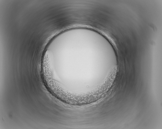X0000110980015200907310958