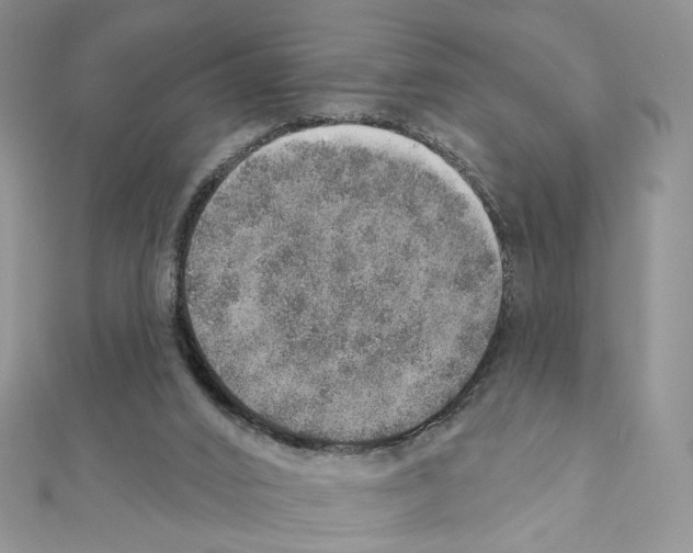 X0000110980016200907310958