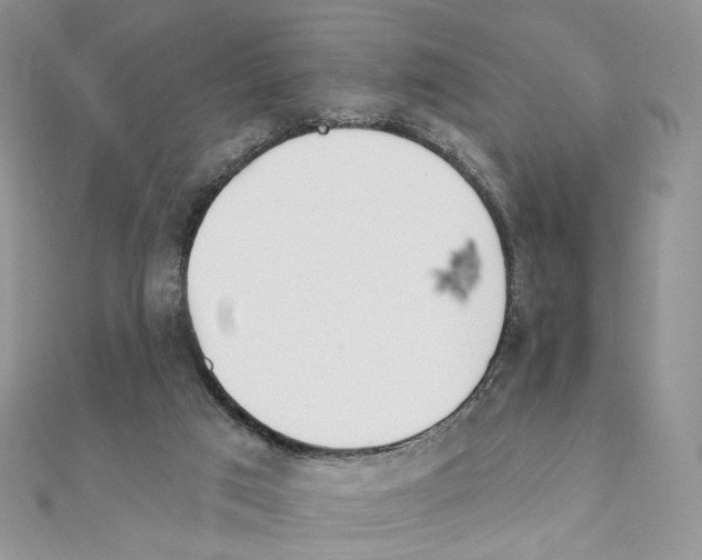 X0000110980017200907310958