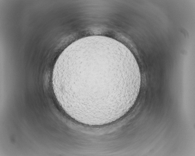X0000110980018200907310958