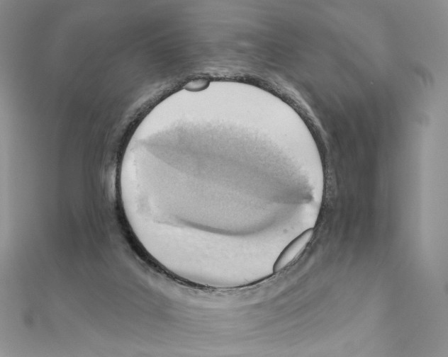 X0000110980019200907310958
