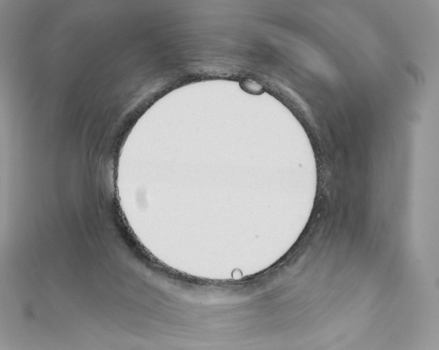 X0000110980020200907310958
