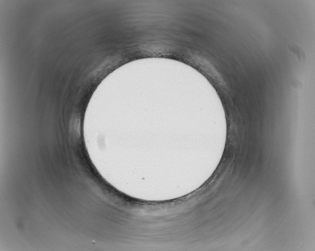 X0000110980021200907310958
