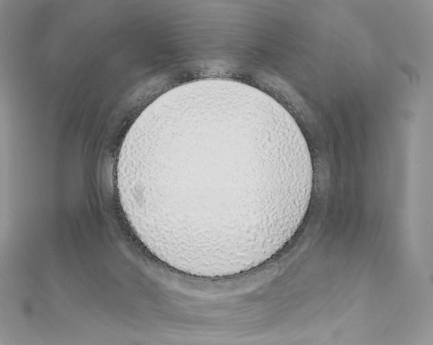 X0000110980022200907310958