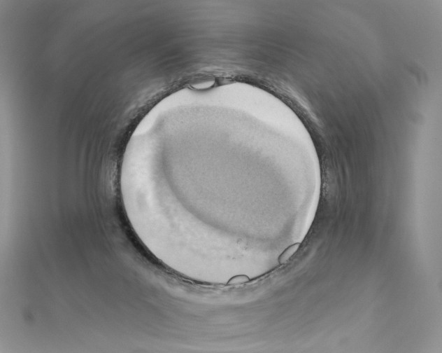 X0000110980023200907310958