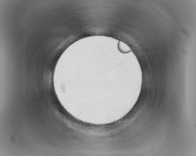 X0000110980024200907310958