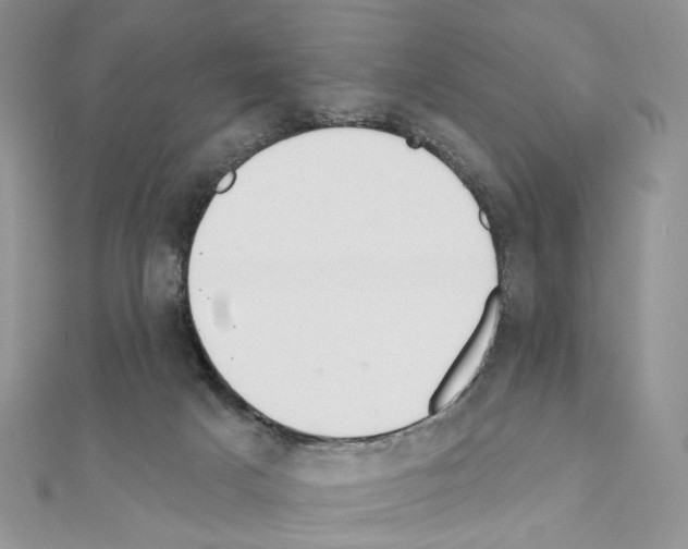 X0000110980025200907310958