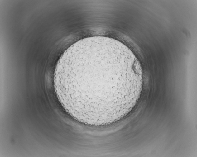 X0000110980026200907310958