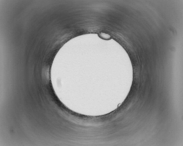X0000110980028200907310958