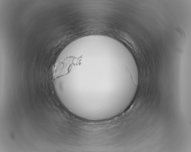 X0000110980029200907310958