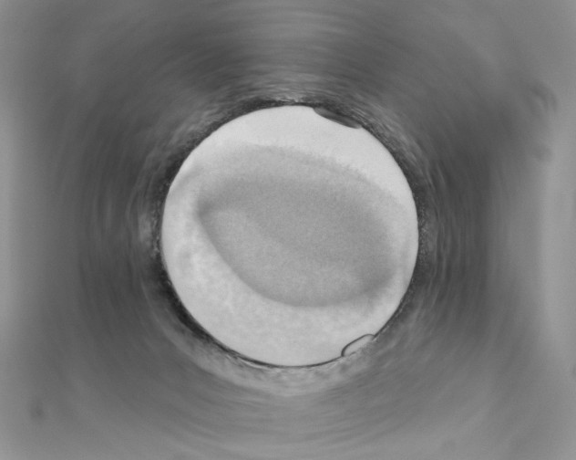 X0000110980031200907310958