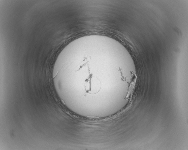 X0000110980033200907310958
