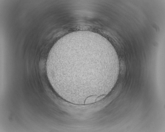 X0000110980034200907310958