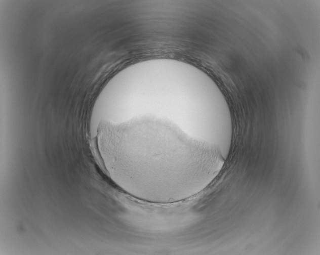 X0000110980035200907310958