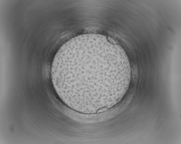 X0000110980038200907310958