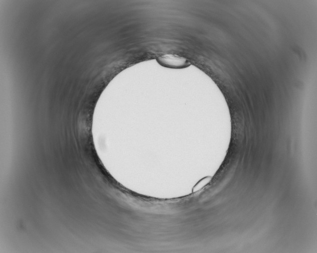 X0000110980040200907310958