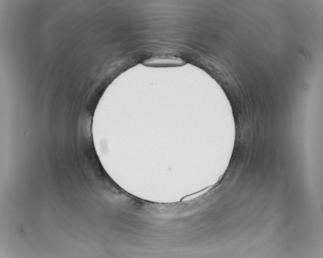 X0000110980041200907310958