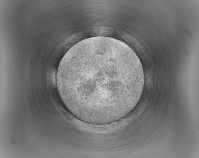 X0000110980042200907310958