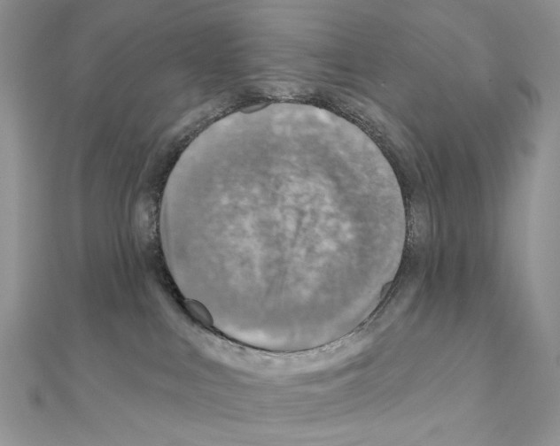 X0000110980043200907310958