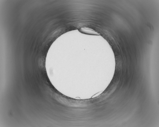X0000110980044200907310958