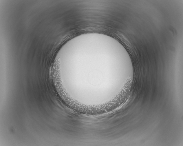 X0000110980045200907310958