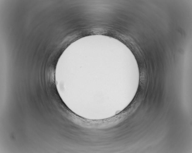 X0000110980046200907310958