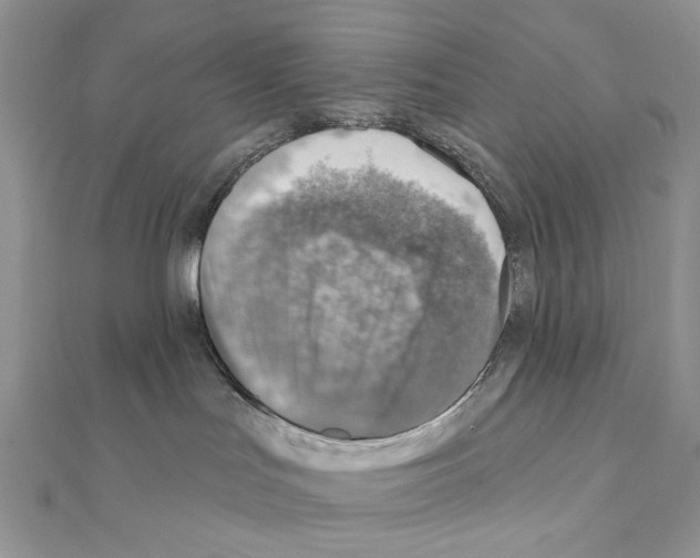 X0000110980047200907310958